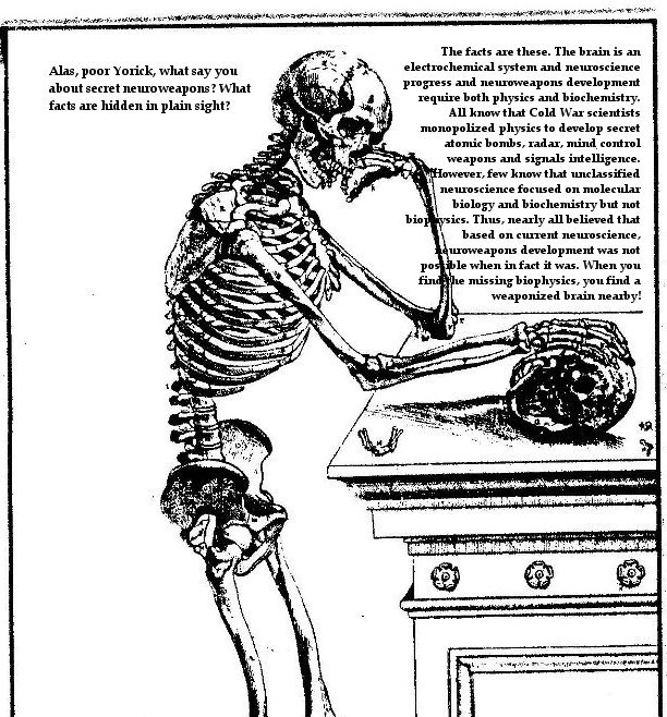 Vesalius